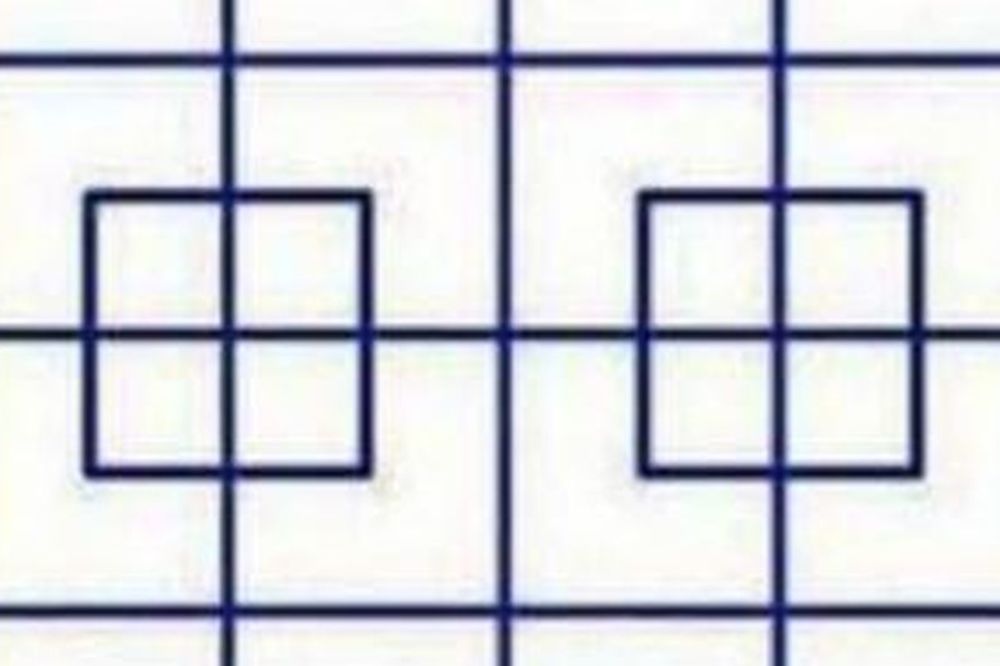 Proverite svoju moć zapažanja: Koliko kvadrata vidite na fotografiji? (FOTO)