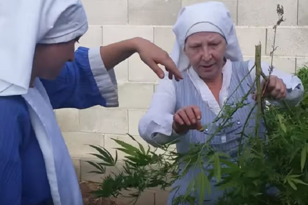 Ove časne sestre gaje marihuanu: Svako ko je brani glup je i idiot! (VIDEO)