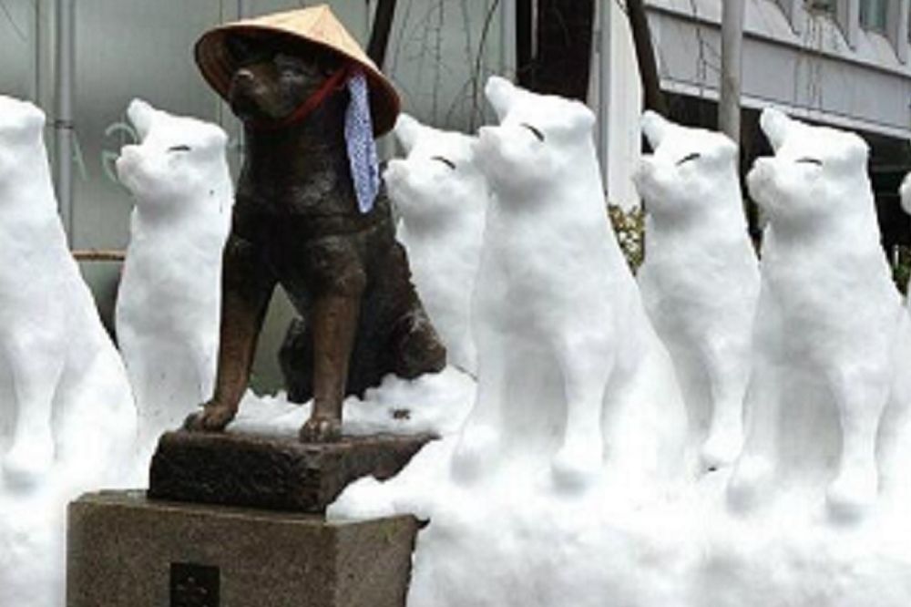 7 identičnih skulptura osvanulo je pored najpoznatijeg psa u Japanu (FOTO)