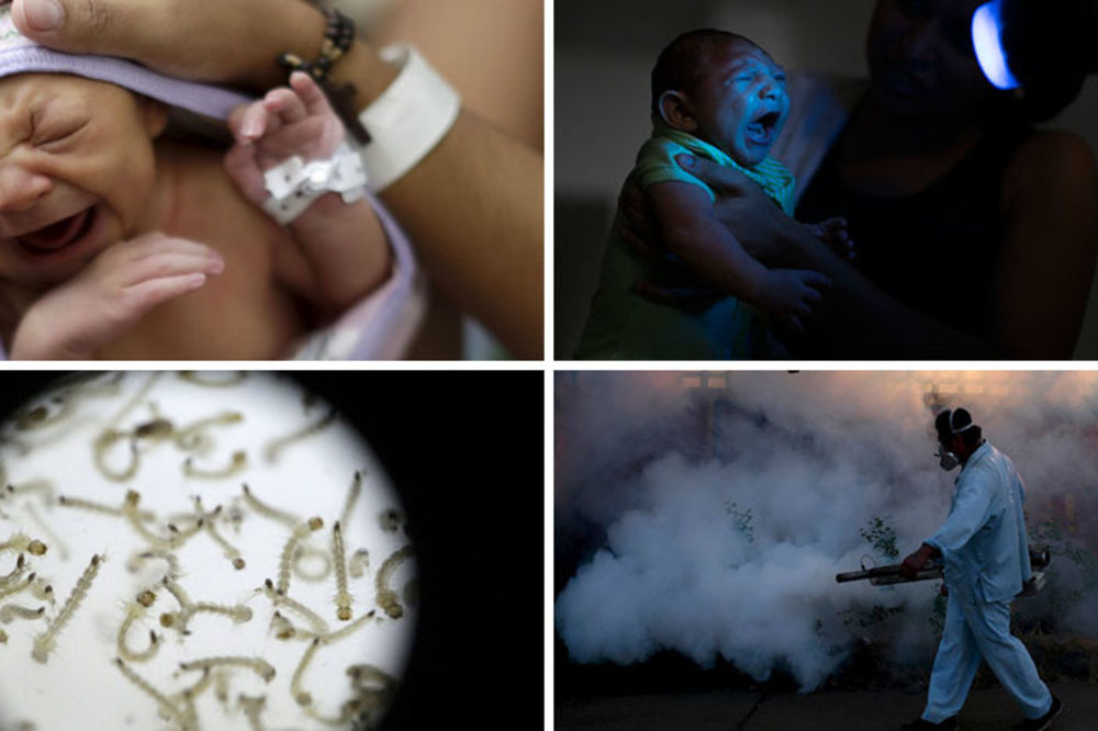 Zika u 25 slika: Kako izgleda borba protiv jezivog virusa koji pogađa bebe! (FOTO)