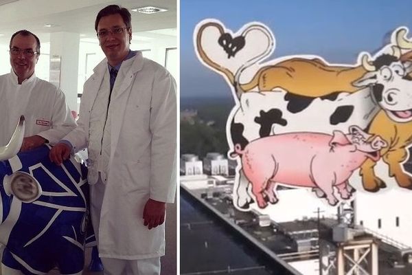 Klanica svinja i fabrika skandala: Ko je kompanija s kojom je Vučić upravo potpisao ugovor? (FOTO) (VIDEO)