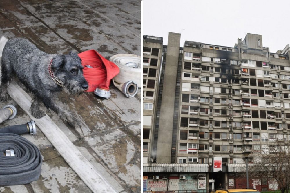 Ovo je kuca koja je preživela požar na Novom Beogradu! (FOTO)