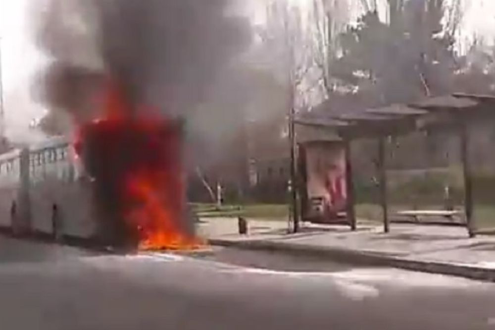Gori kao buktinja: Zapalio se autobus kod Ade Ciganlije! (FOTO) (VIDEO)
