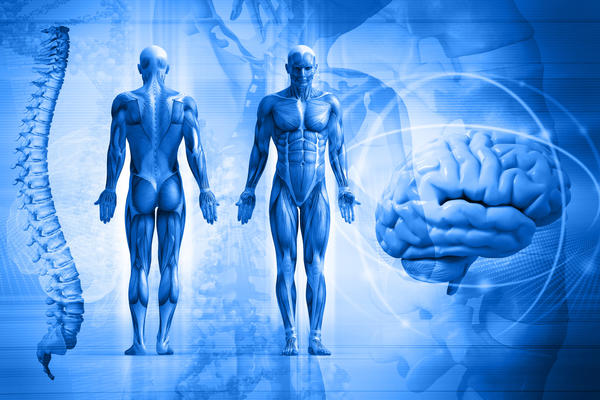 Nemamo dva ista organa: Zašto je ljudsko telo asimetrično? (FOTO) (GIF)