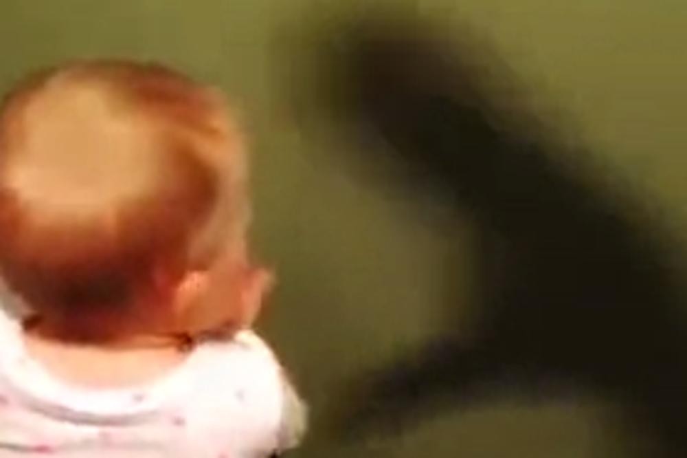 Čudovište-senka je napalo bebu, a njena reakcija je neponovljiva (GIF)