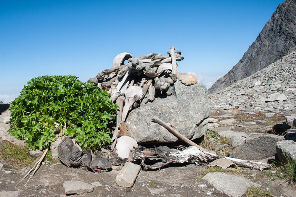 Misterija Himalaja: Stotine skeleta pronađeno je u jezeru mrtvih! (FOTO) (VIDEO)