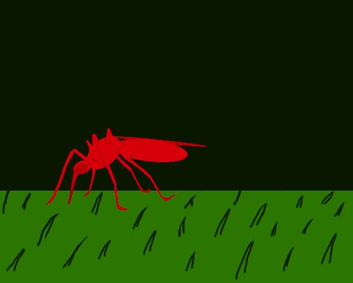 Zašto komarci grickaju baš vas? Ogdovor je kod nas! (GIF)
