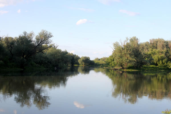 SPREČENA NEZAPAMĆENA KRAĐA RIBE: Ribočuvari JVP Vode Vojvodine zaplenili 11 kilometara nelegalno postavljenih mreža
