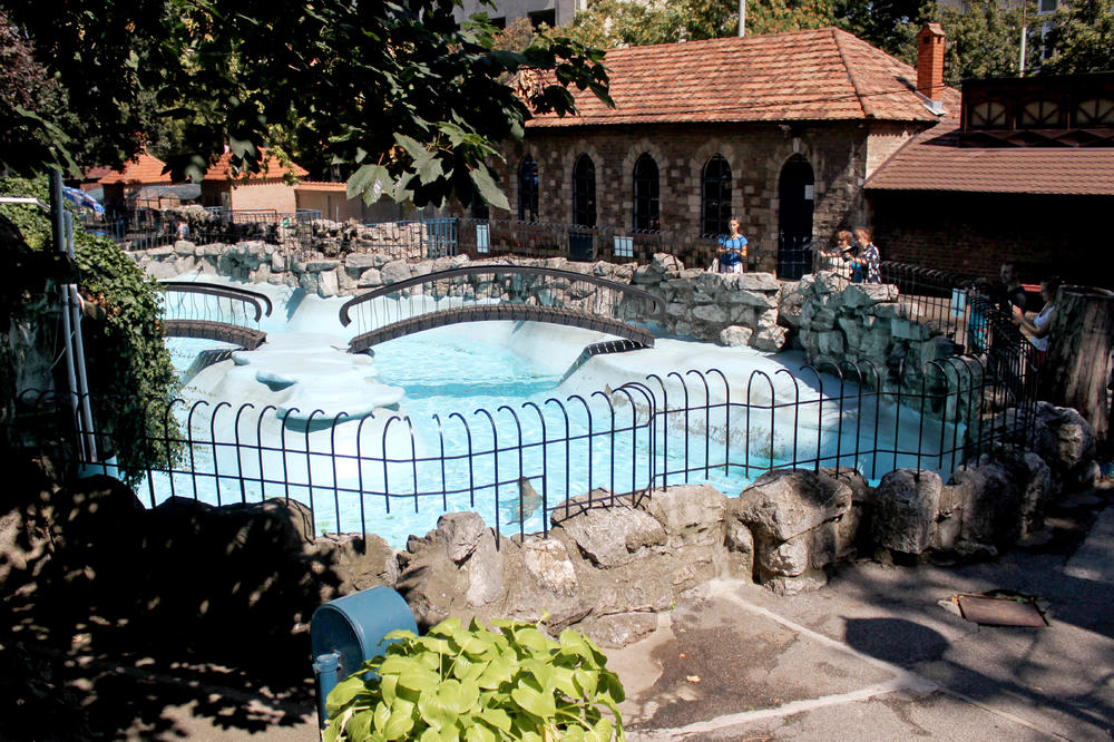 U BG Zoo vrtu su se deca nekad kupala - i to u bazenima za foke! Da, dobro ste pročitali! (FOTO)