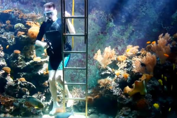 Napravio je akvarijum za svoju sobu, pa šta? Ništa, osim što on ima zapreminu od 30.000 litara! (VIDEO)