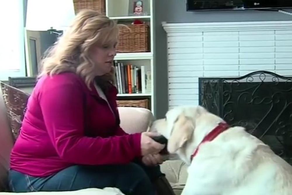Kuca doktor: Ovaj pas je medijum i neverovatan način je spasio devojčicu od smrti! (VIDEO)