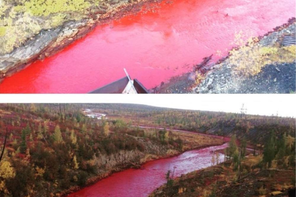 Rešena misterija krvave sibirske reke! Zna se i krivac! (FOTO) (VIDEO)