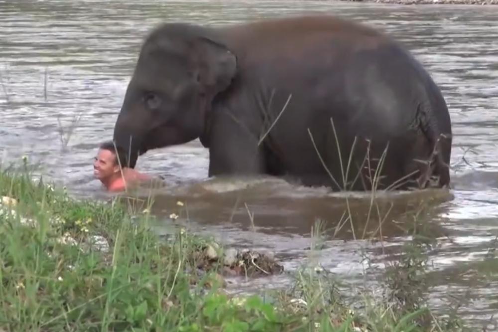 Otopićete se: Slon video čoveka da se davi, pa potrčao u vodu da mu pomogne! (VIDEO)