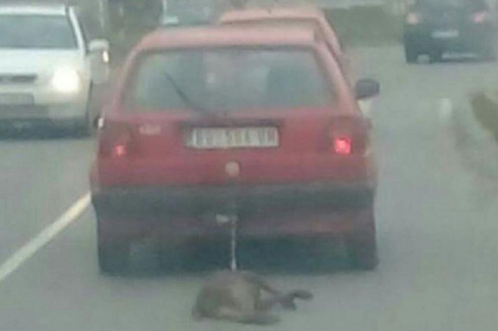 NE BRINITE, DOBRO JE: Pas koga je vukao automobil se oporavlja!