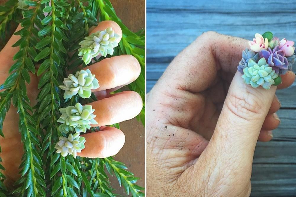 Najbizarniji manikir na svetu! Ovo cveće raste iz noktiju (FOTO)