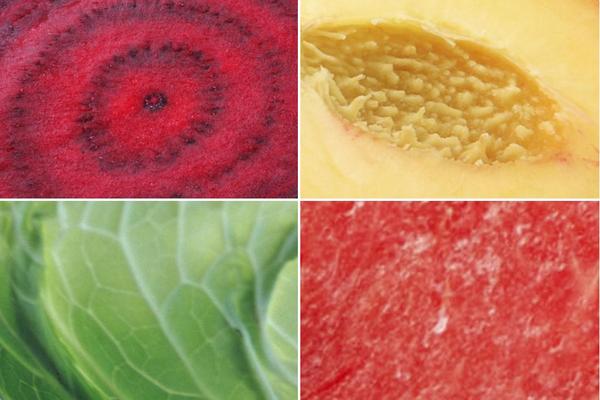 Jedete ih svaki dan, ali TEŠKO DA ĆE TE IH PREPOZNATI: 10 vrsta voća i povrća na DRUGAČIJIM fotkama (KVIZ)