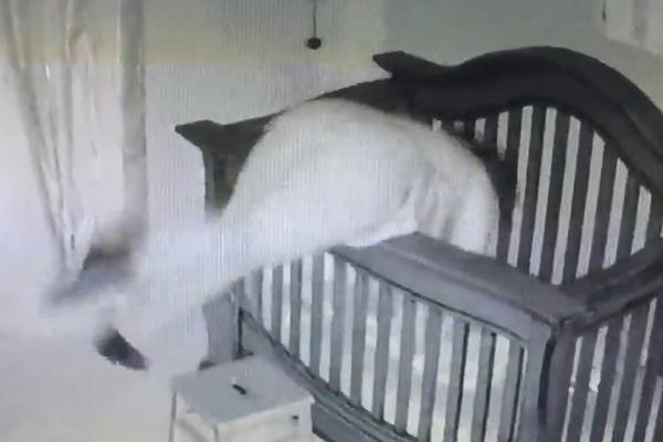 Čekaj, ko spava u krevecu? Umesto bebe, mama završila u njemu! (VIDEO)