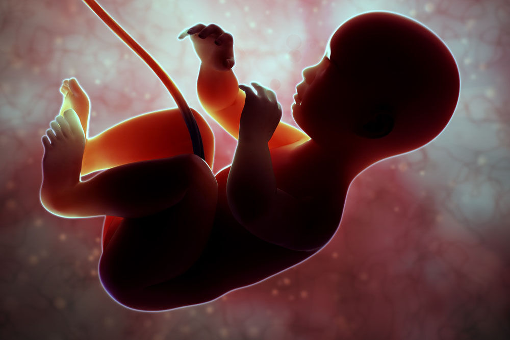 abortus, Beba