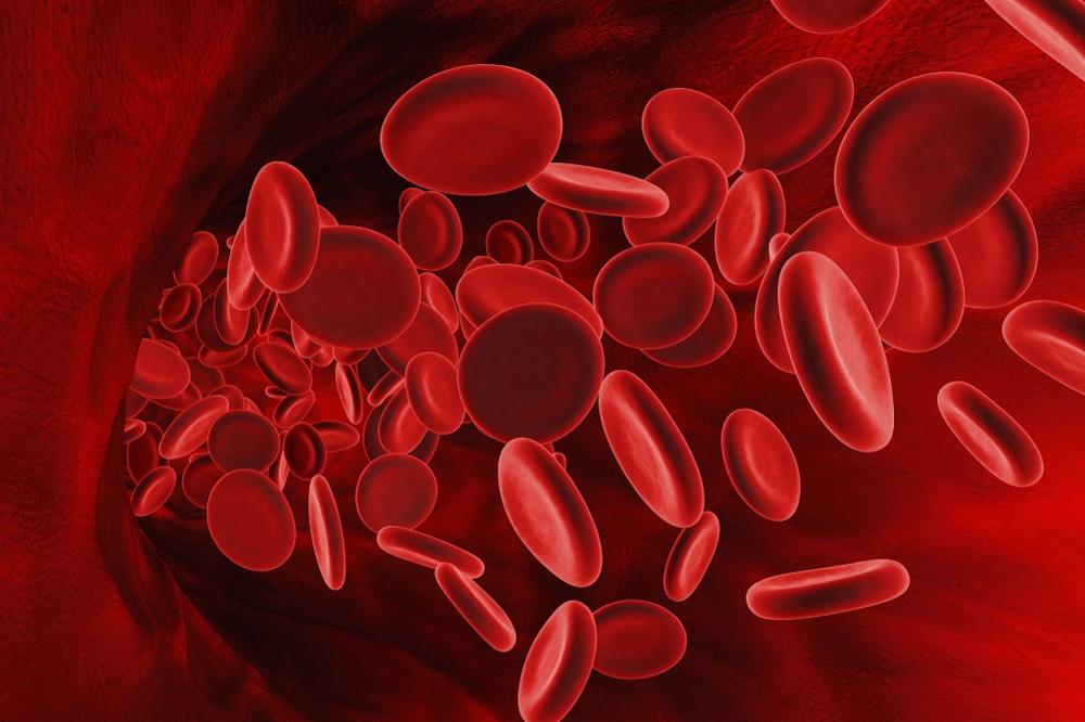MNOGI OD VAS JE IMAJU: Zašto je NULTA POZITIVNA  krvna grupa najčešća? (FOTO) (GIF)