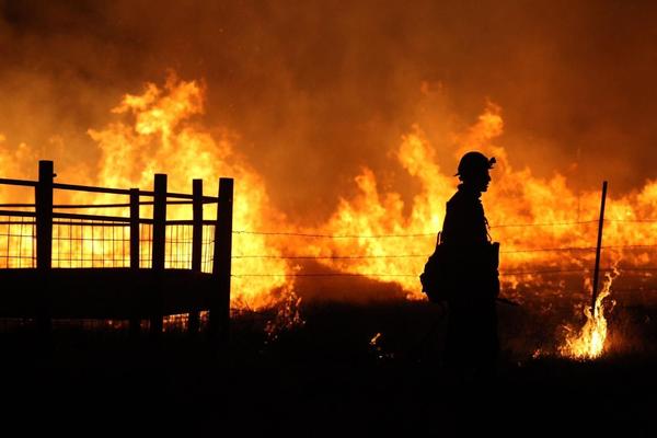 GORI DESPOTOVAC, vatrogasci pokušavaju da ugase plamen: Vatra guta livade!