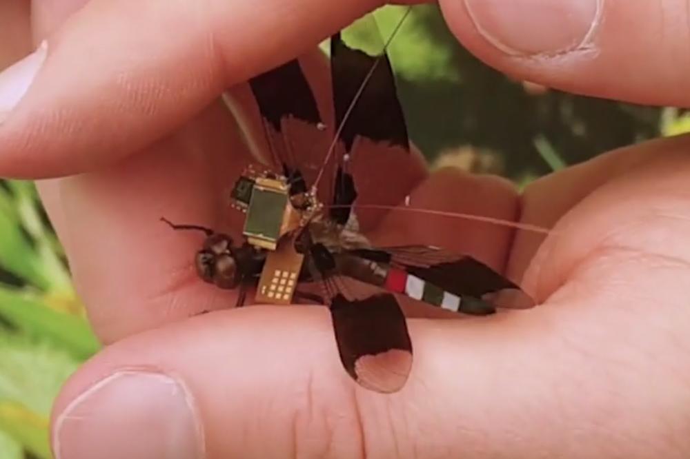 Jedinstven u svetu: Naučnici od vilin konjica napravili dron i ima posebno napajanje! (VIDEO)