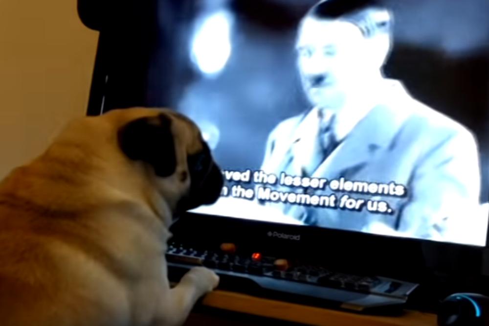 Škot ide na robiju jer je psa naučio da pokazuje nacistički pozdrav (VIDEO)