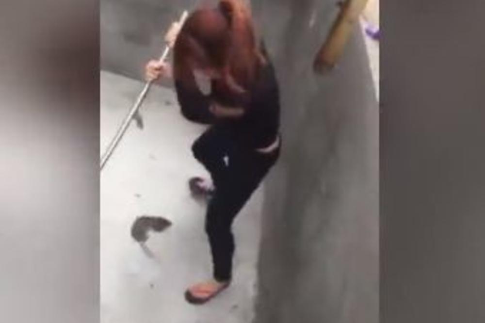 VRIŠTI KAO DA ĆE DA JOJ ODGRIZE GLAVU: Svet se smeje snimku napada pacova na devojku (VIDEO)