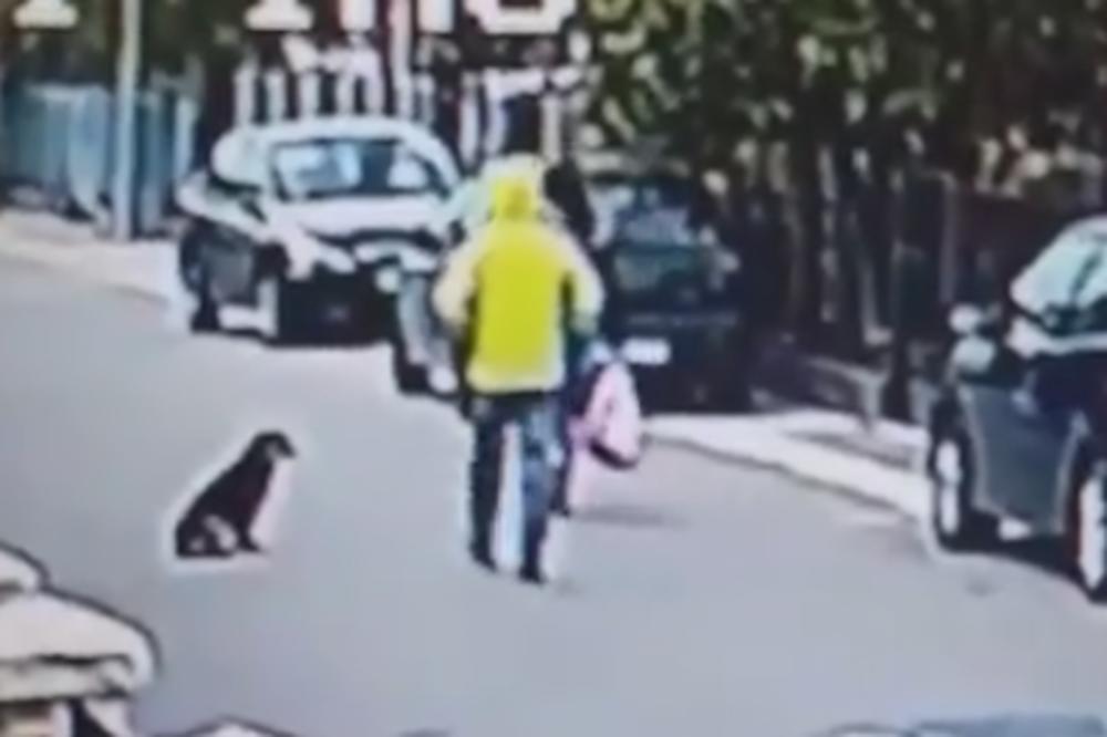 NEVEROVATNA SCENA NA ULICAMA PODGORICE: Pas odbranio ženu od lopova koji je hteo da joj otme tašnu! (VIDEO)