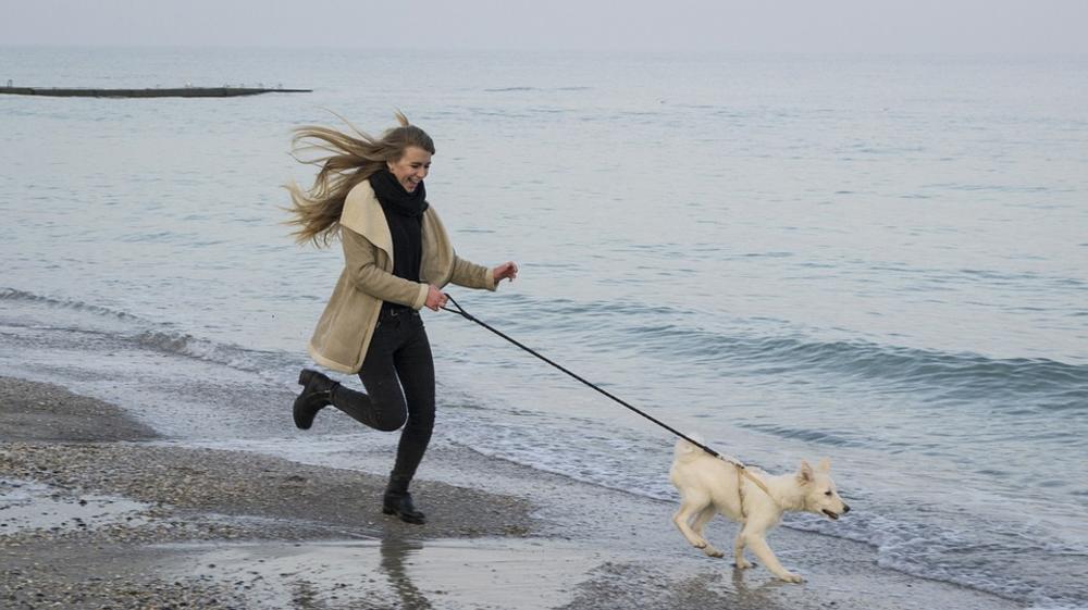 devojka šeta psa