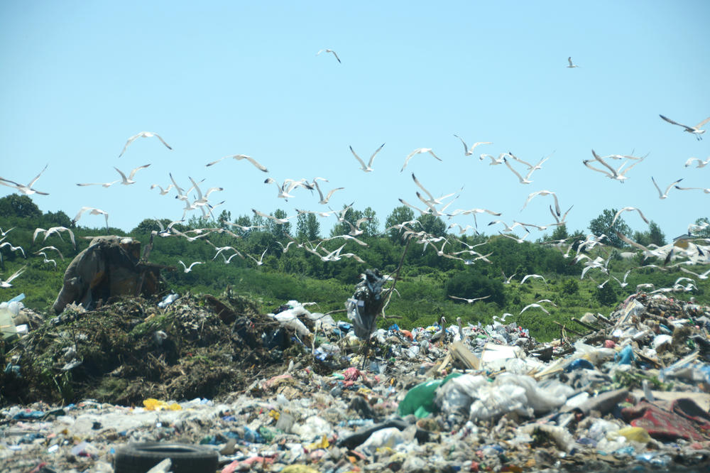 GLIGIĆ: Hitno objaviti rezultate uzorkovanja otpada