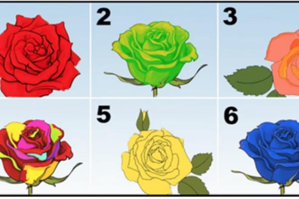 HRABRI, OSETLJIVI ILI KREATIVNI? Izaberite ružu koja vam se najviše dopada i ONA ĆE VAM OTKRITI BAŠ SVE O VAMA! (FOTO)