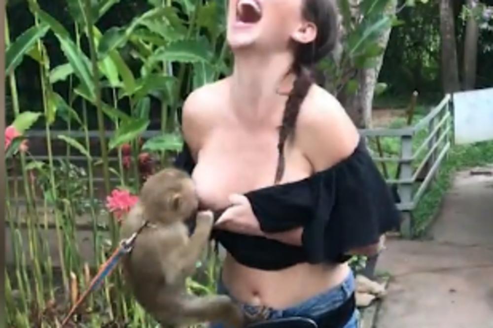 UPS, ISPADE JOJ NEŠTO! Lukavi majmun skočio je na zgodnu devojku, pa uradio nešto veoma NEVALJALO! (VIDEO)