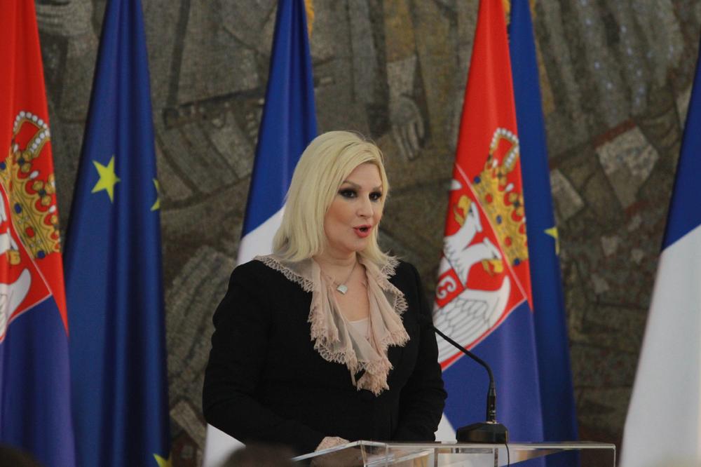 MIHAJLOVIĆ: Zabrana Vulinu je kršenje prava Evropske unije! Srbija nije ono što predstavlja Šešelj!