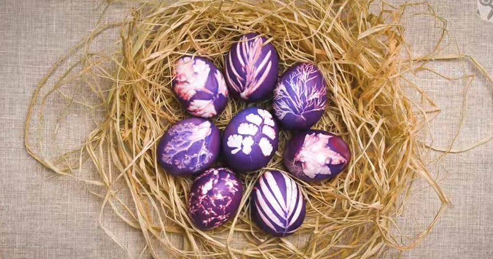 Farbanje jaja pomoću biljaka i najlonske čarape  