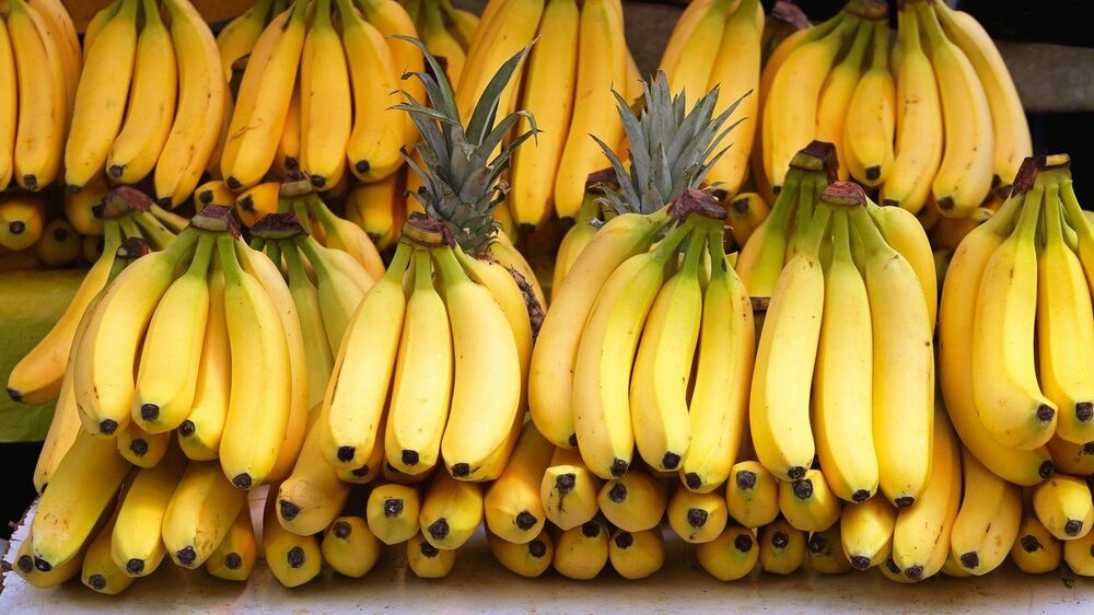 Banane su odlične jer su lako probavljive i ne iritiraju stomak ili probavni trakt  