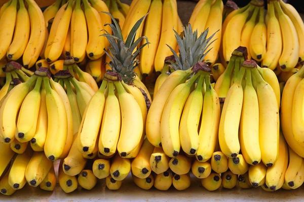 ZRELE ILI ZELENE? Iznenadićete se kada čujete koje banane su NAJZDRAVIJE!