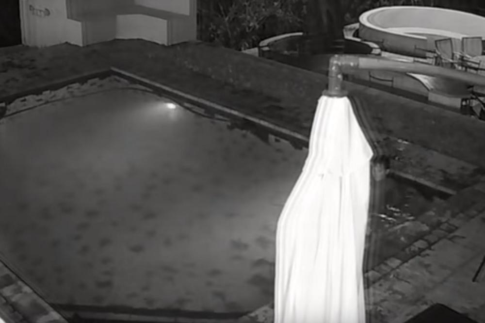 KROKODIL JE SAMO UŠETAO: Par je uživao u bazenu, a onda su ZA DLAKU IZBEGLI SMRT (VIDEO)