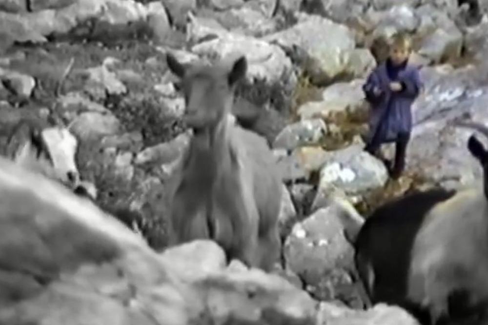 Poznati muzičar je snimio dečaka (5) kako čuva koze u planini! Taj klinac je danas najbolji hrvatski fudbaler! (VIDEO)