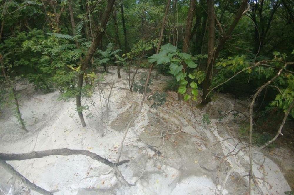 Nepoznate osobe ispraznile mešalicu i zabetonirale drveće! EKOLOŠKA KATASTROFA na KOŠUTNjAKU (FOTO)