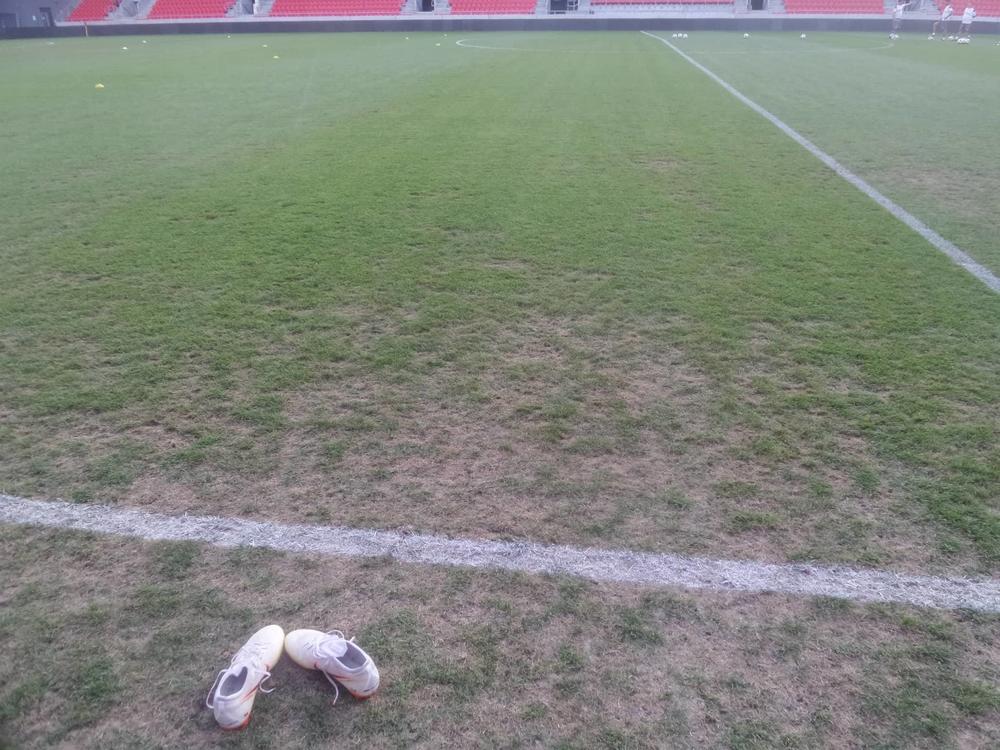 Trava na stadionu Spartaka iz Trnave  