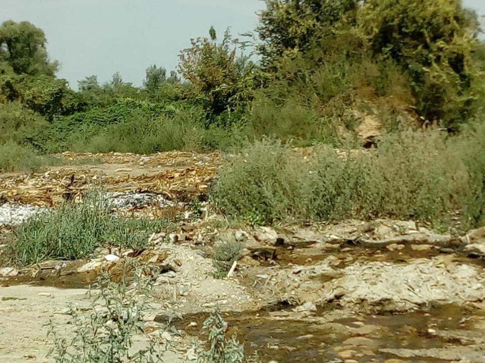 Reka MORAVA je postala SMETLIŠTE u kojem se nalazi OTPAD IZ KLANICE  