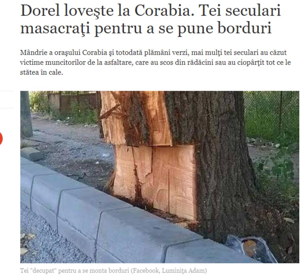 Odečeno drvo u Rumuniji    