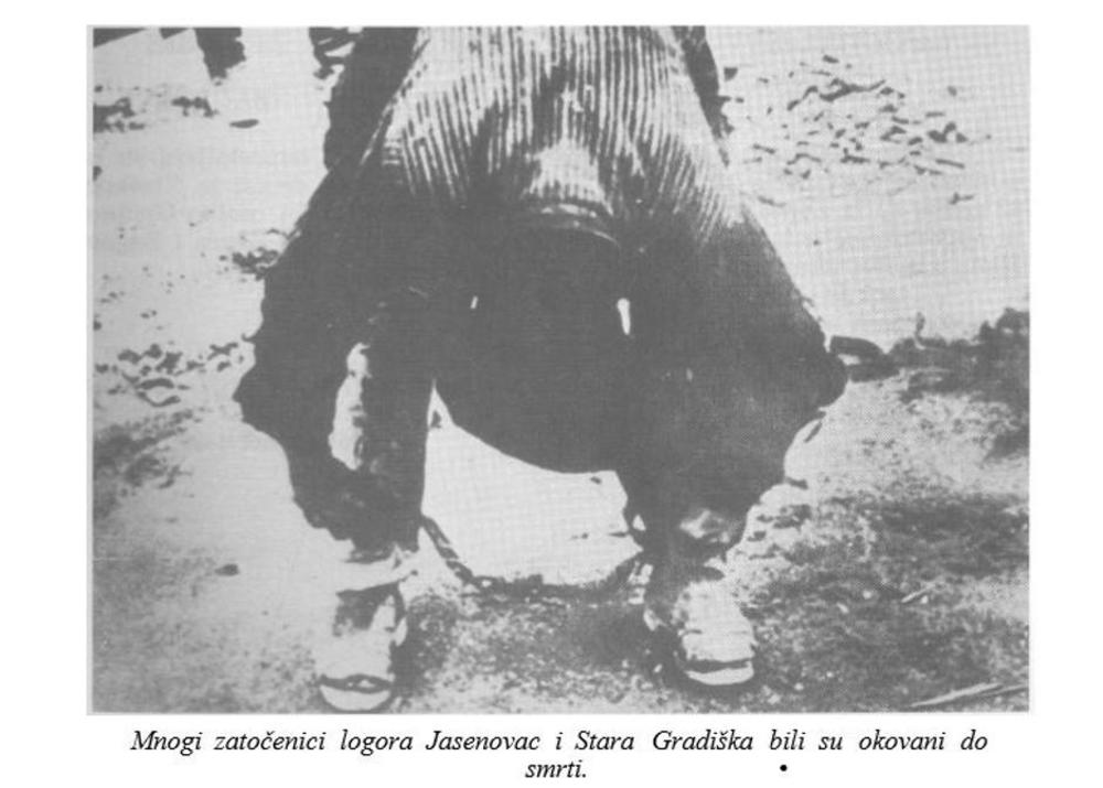 Logor Jasenovac    
