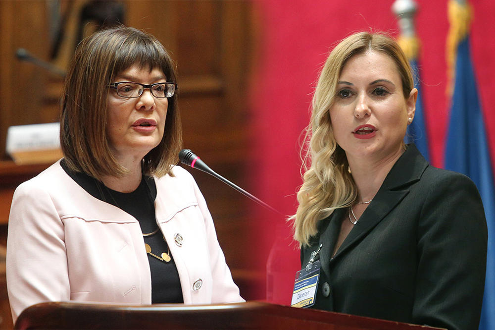 POLEMIKA U SKUPŠTINI: Gojković i Jerkov ušle u raspravu zbog Zakona o nestalim bebama!