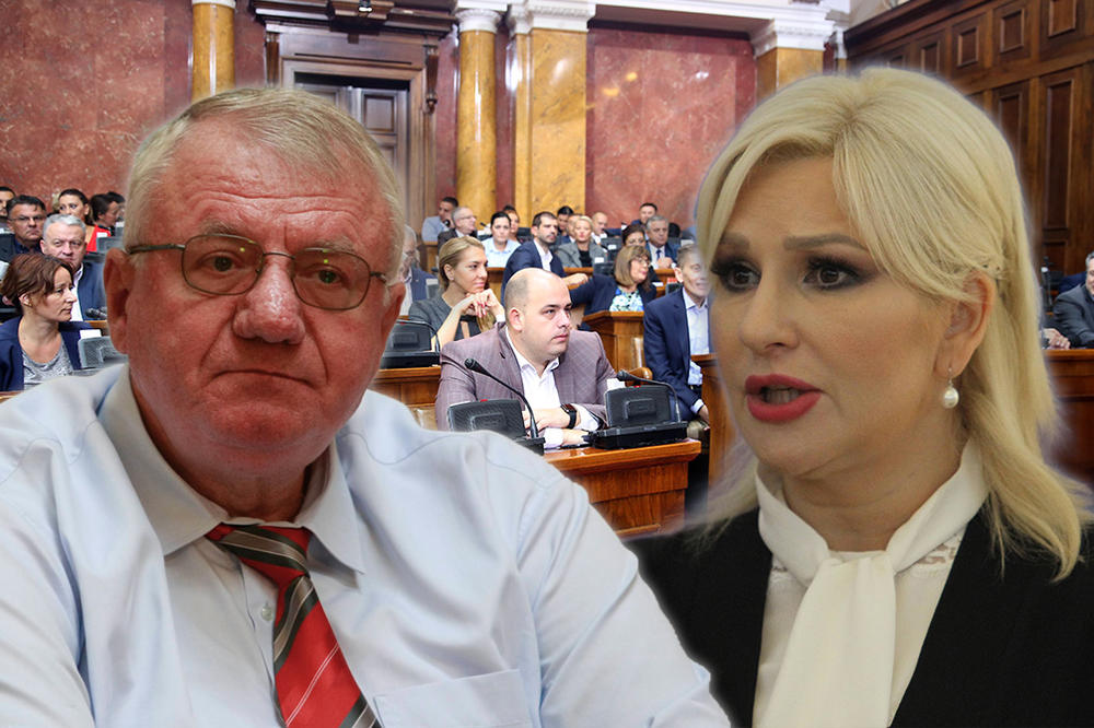 MINISTARKA OČITALA BUKVICU LIDERU RADIKALA: Mihajlovićeva i Šešelj se raspravljali 70 minuta u Skupštini!