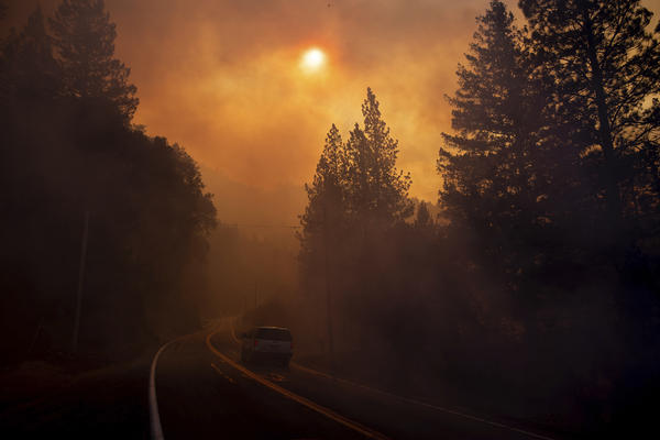 VATRA GUTA KALIFORNIJU! Ovo su najgori požari u zadnjih 8 DECENIJA, za sada 29 žrtava!