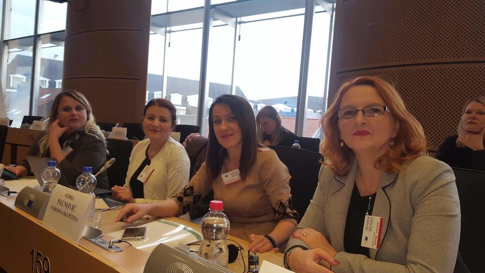 Delegacija Srbije u evropskom parlamentu  