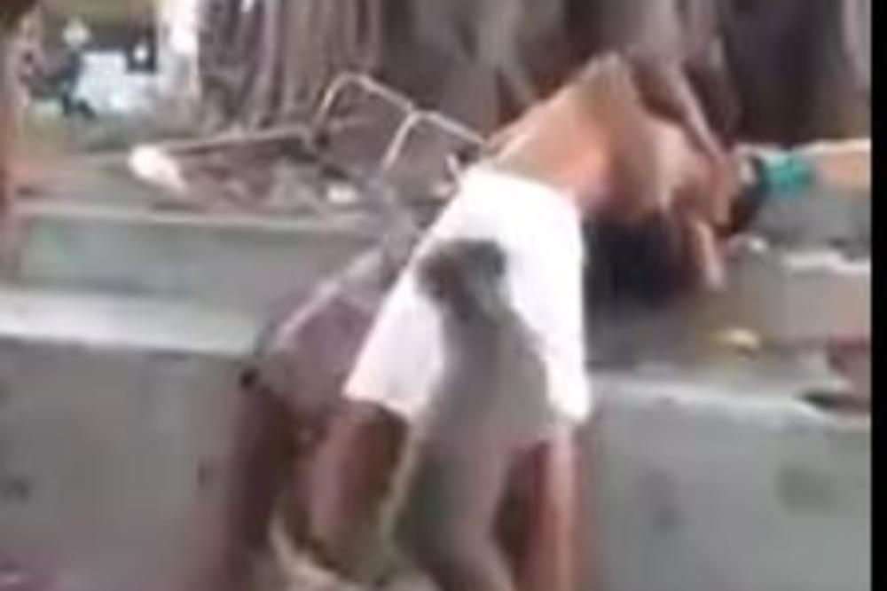 POTPUNO UVRNUTA TUČA U BRAZILU: Dvojica mladića se potukla, a onda se uključio i pas! (VIDEO)