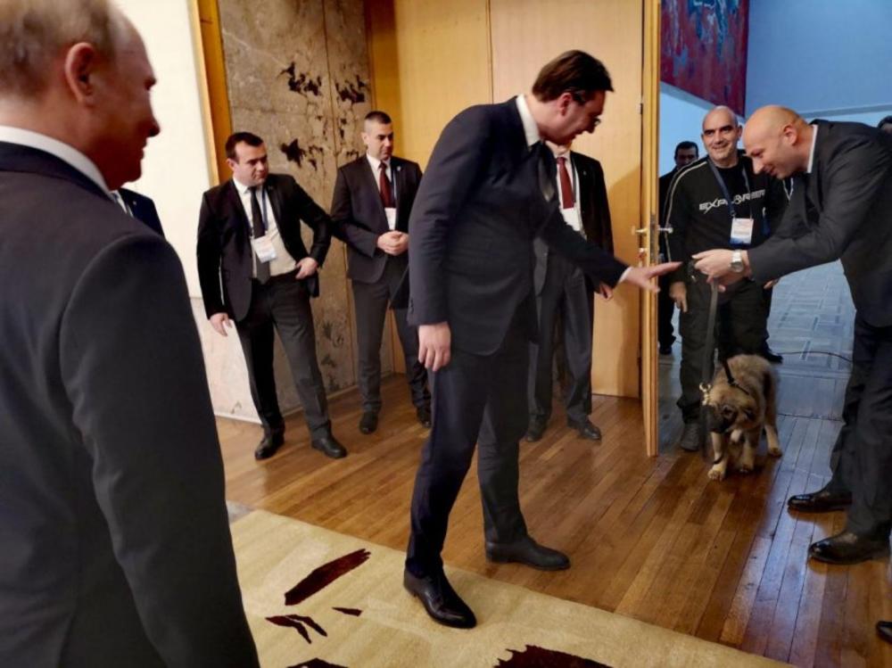 Predsednik Srbije Aleksandar Vučić poklonio je predsedniku Rusije Vladimiru Putinu šarplaninca po imenu Paša  
