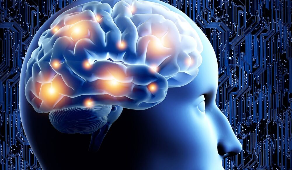 Ljudski mozak  